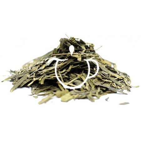 Détail feuilles vert émeraude Ding Gu Da Fang Bio