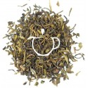 Thé Vert Bio Darjeeling Ambootia FTGFOP-1 feuilles en vrac Thé-Passion