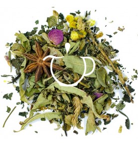 Infusion Bio Bien-Être mélange plantes et fleurs en vrac Thé-Passion