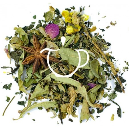 Infusion Bio Bien-Être mélange plantes et fleurs en vrac Thé-Passion