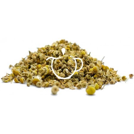 Détail fleurs de camomille noble bio Infusion Bio Camomille
