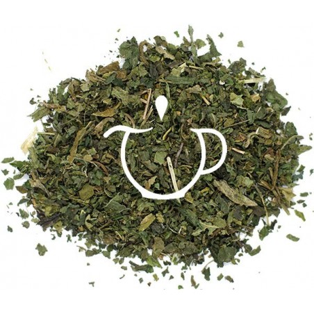 Infusion Bio Feuilles d'Ortie feuilles coupées en vrac Thé-Passion