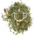 Infusion Bio Purifiante mélange plantes en vrac Thé-Passion