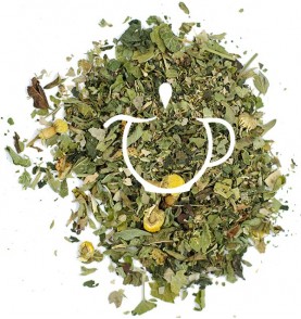 Infusion Bio Purifiante mélange plantes en vrac Thé-Passion