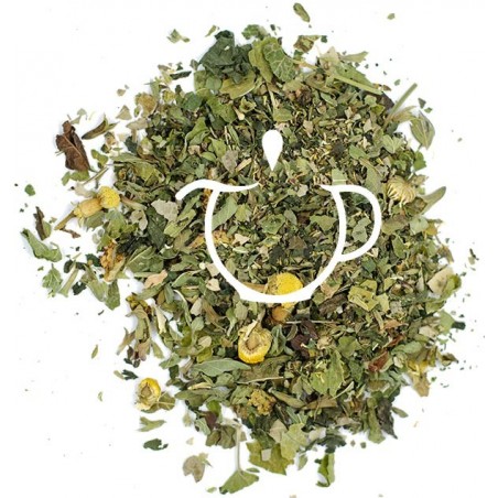 Infusion Bio Purifiante mélange plantes en vrac Thé-Passion