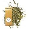 Sachet Thé Vert Bio Lung Ching Thé-Passion