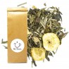 Sachet Thé Vert Fruité Banane Goji Thé-Passion