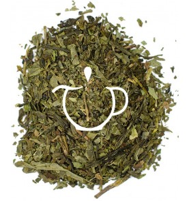 Thé Vert Bio Menthe Oasis mélange en vrac Sencha menthe Thé-Passion