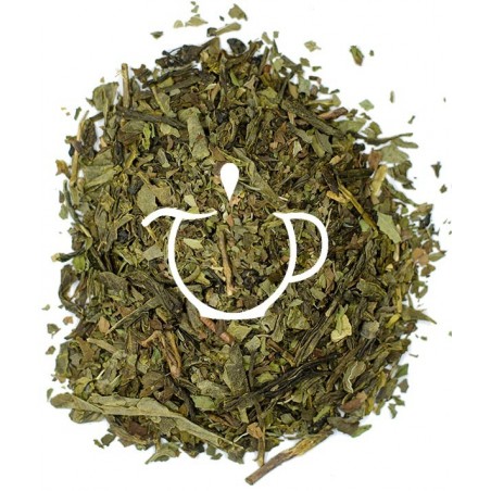 Thé Vert Bio Menthe Oasis mélange en vrac Sencha menthe Thé-Passion