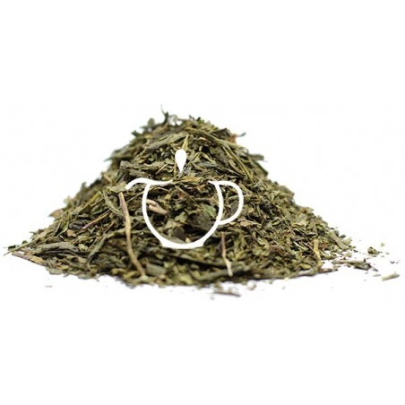 Détail feuilles Sencha et menthe verte bio Menthe Oasis