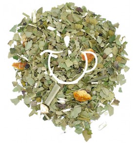 Yerba maté vert citron du Brésil