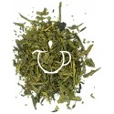 Thé vert earl grey bio