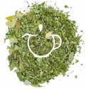 Infusion Ayurvédique Moringa feuilles de moringa séchées en vrac Thé-Passion