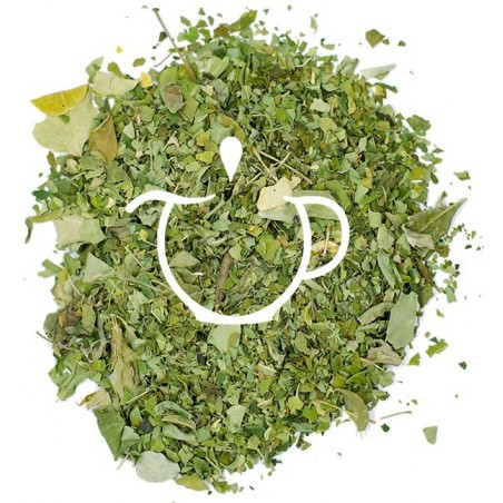 Infusion Ayurvédique Moringa feuilles de moringa séchées en vrac Thé-Passion