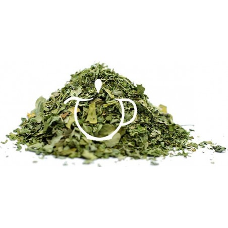 Détail feuilles de moringa séchées Infusion Ayurvédique Moringa