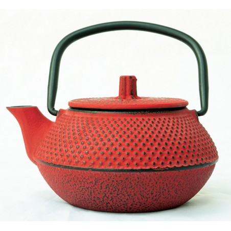 Théière japonaise en fonte Tsubaki - 0,3L