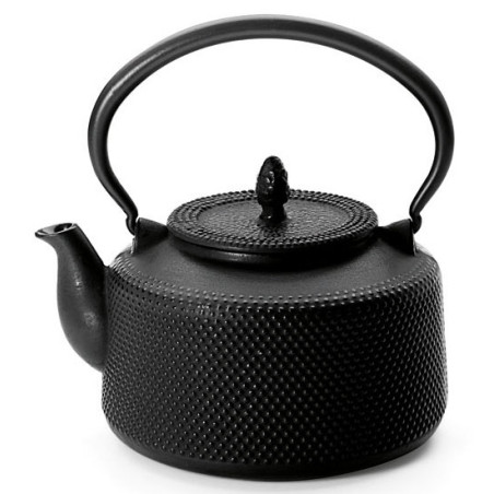 Théière en fonte Takumi - 1,4L