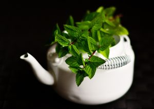 Feuilles de menthe poivrée fraîches en gros plan pour l'infusion